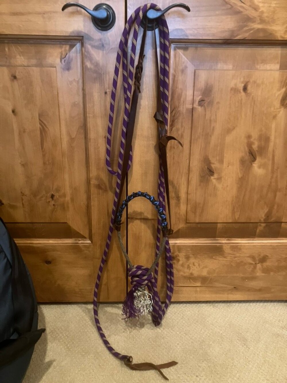 Blue, Black, and Purple Loping Hackamore with Mecate Reins